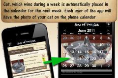 123 Cat Calendar - Show Me Your Cat