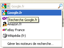 Google.fr - Firefox Addon