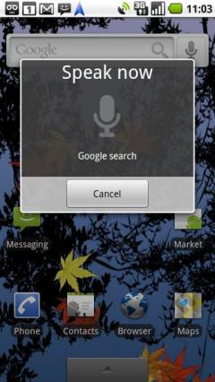 Voice Search (Android)