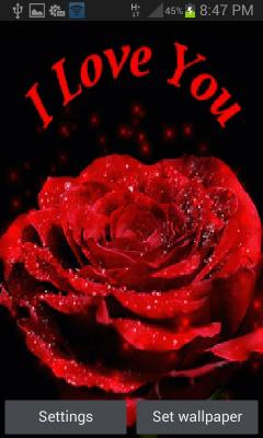 Bright Red Rose LWP