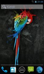 Colorful Parrot Live Wallpapers