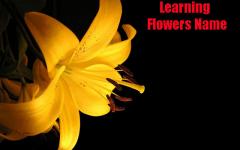 Kids Learning Flowers Name