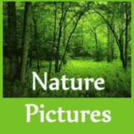 Nature Pictures