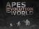 Apes evolution world