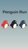Penguin run, cartoon
