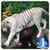 3D Bengal Tiger Live Wallpapers