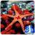3D Starfish Live Wallpaper