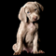 Cute Puppy Live Wallpapers