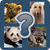 Guess the Celebrity Animal