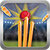 Hitwicket Own a T20 Team