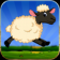 Lucky the sheep - Farm run