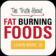36 Fat Burning Food
