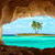 Island With Palm Tree Live Wallpaper