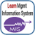 Mgmt Information System