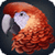 Parrot Phrasebook Simulator