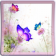 Flowers Live Wallpaper Canno