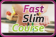 Fast Slim Smart Course