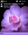 Violet flower pocket pc theme skin
