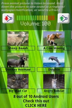 Animal Sounds With Pics(Free)