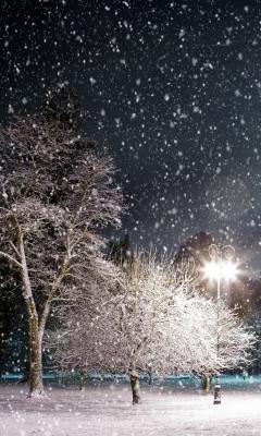 Winter Night Live Wallpaper 2